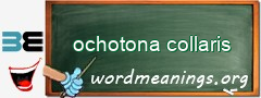 WordMeaning blackboard for ochotona collaris